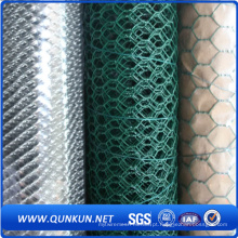 Alta qualidade verde PVC revestido Hexagonal Wire Mesh